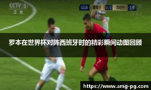 罗本在世界杯对阵西班牙时的精彩瞬间动图回顾