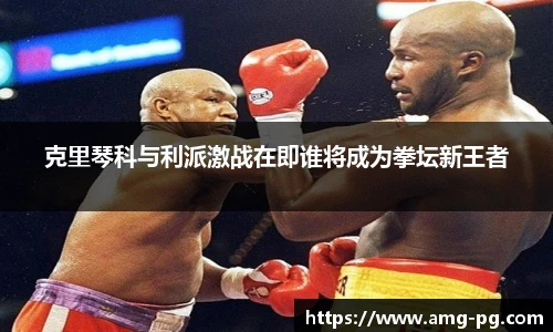 克里琴科与利派激战在即谁将成为拳坛新王者